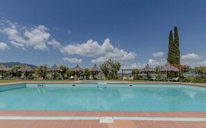 Alberca al aire libre por temporada y sombrillas en la alberca 