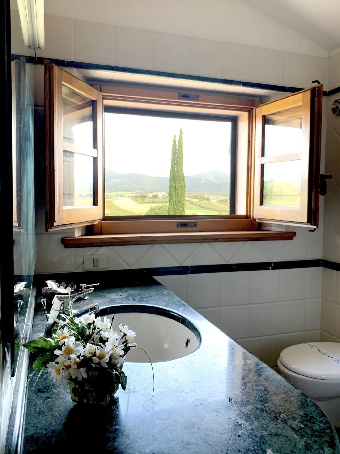 Ein Badezimmer mit großem Fenster, einem Waschbecken mit Blumenvase und einer Toilette.