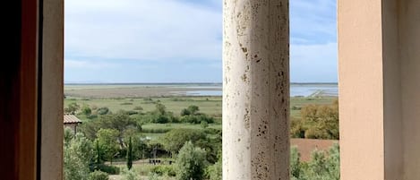 Blick durch ein Fenster mit Steinbalustrade und weißen Säulen auf eine grüne Landschaft mit Bäumen und einem entfernten Horizont.