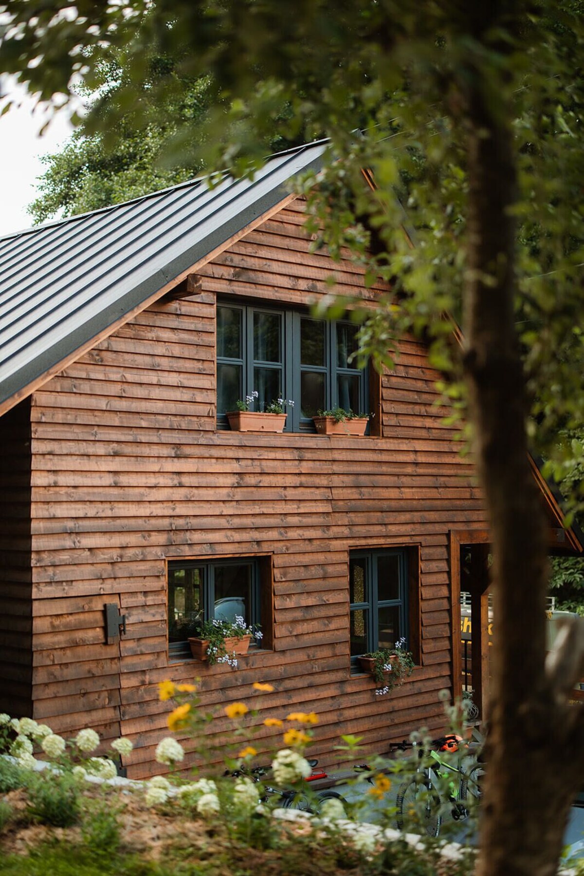 Imagem do perfil do anfitrião