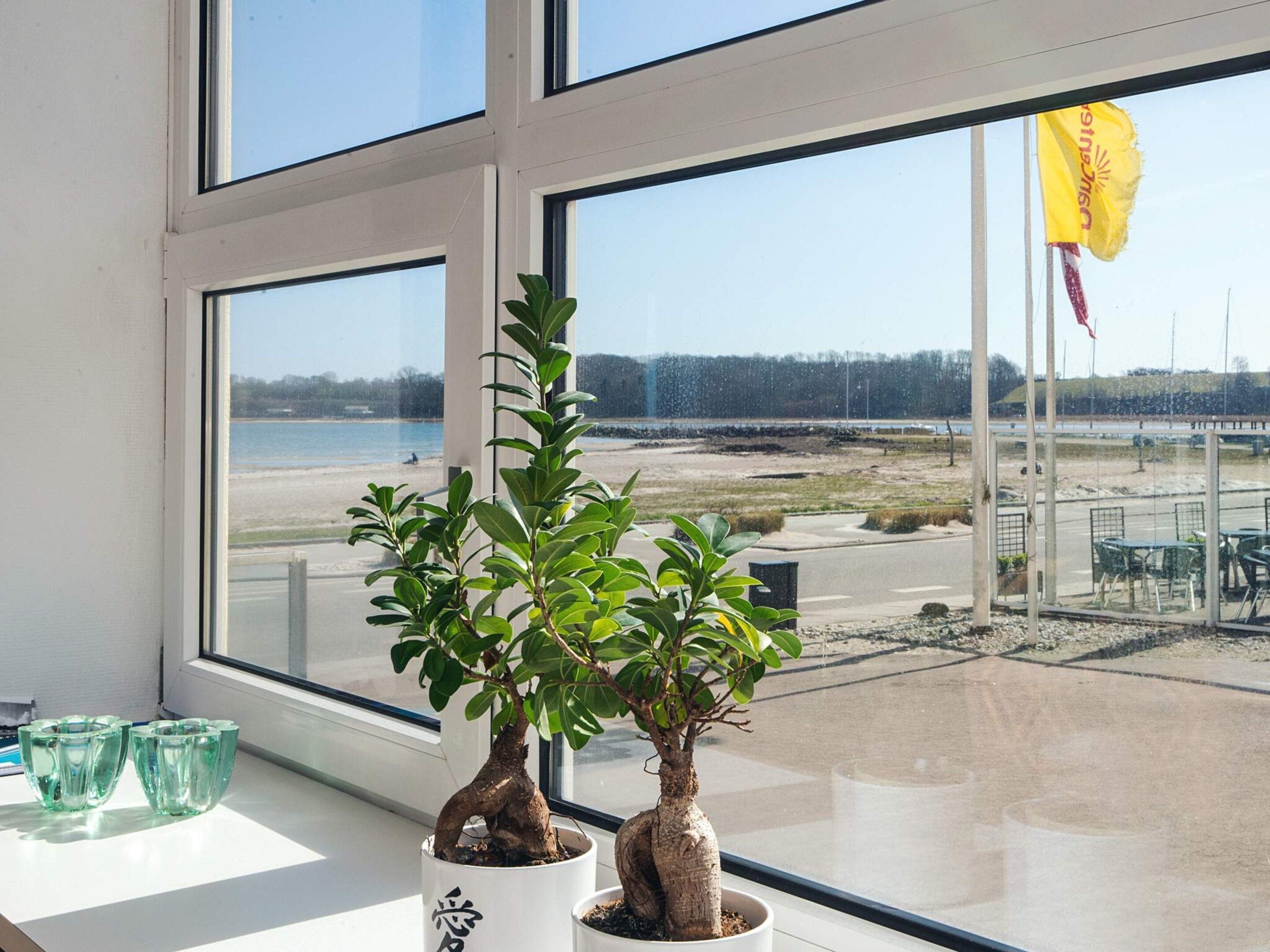 A potted plant on a windowsill with a view of a beach and a flag outside.