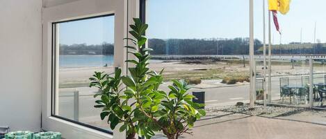 Uma planta em vaso num peitoril com vista para uma praia e uma bandeira do lado de fora.