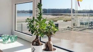 Una planta en maceta sobre un alféizar con vista a una playa y una bandera a la distancia.
