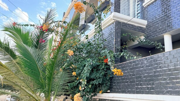 Un edificio con paredes exteriores de azulejos azules, un balcón con barandilla blanca y una palmera con flores anaranjadas.