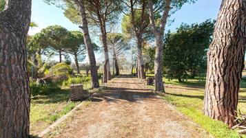 Overnattingsstedets uteområder