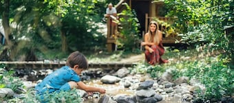 Comfort Chalet for 5, Includes Terrace