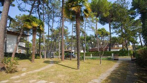 Un camino serpentea por un jardín con palmeras y un edificio al fondo.