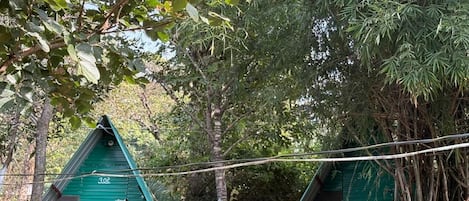 Dos cabañas con techo verde en un área boscosa, rodeadas de árboles y vegetación.