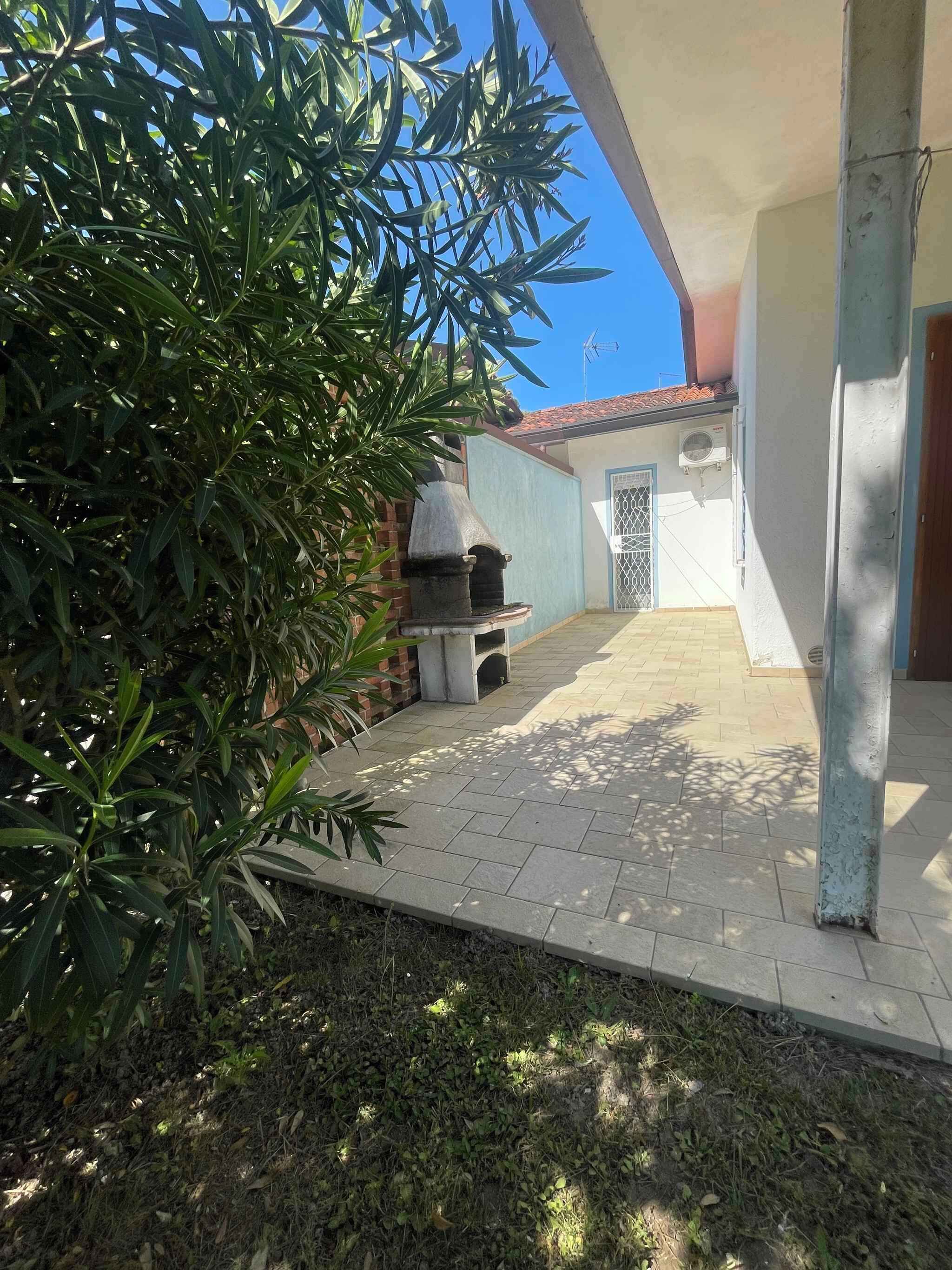 Un patio con una parrilla, una planta en maceta y suelo de baldosas.