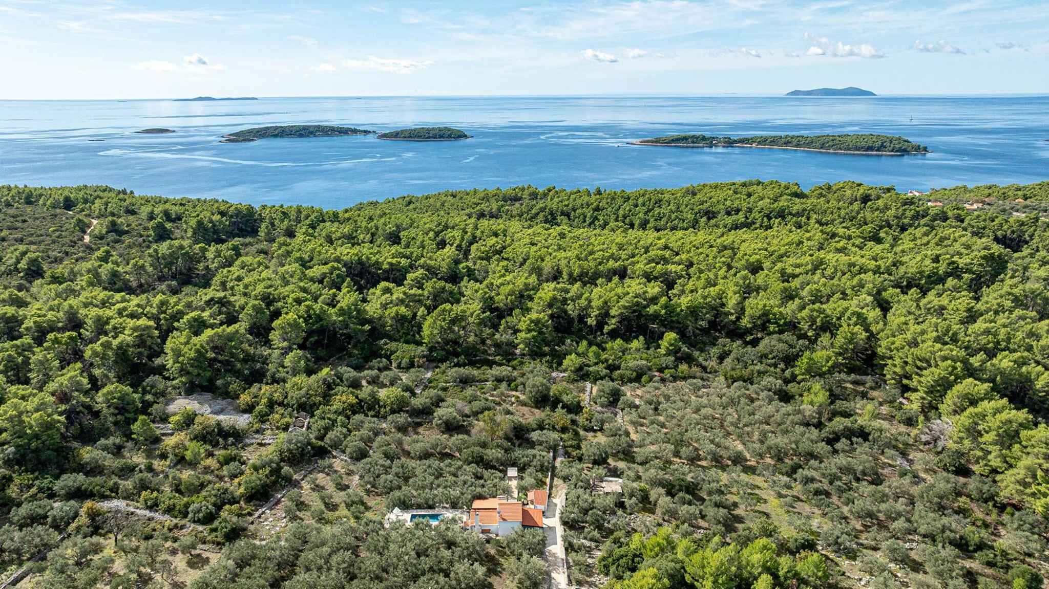 Vue aérienne d’une zone boisée avec un petit bâtiment et une piscine.