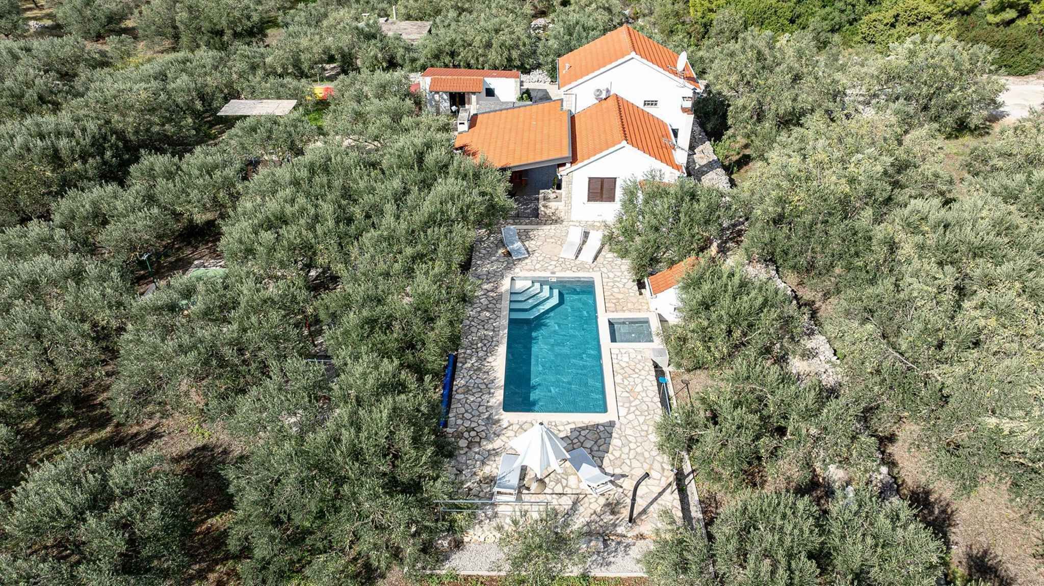 A house with a swimming pool surrounded by dense vegetation.