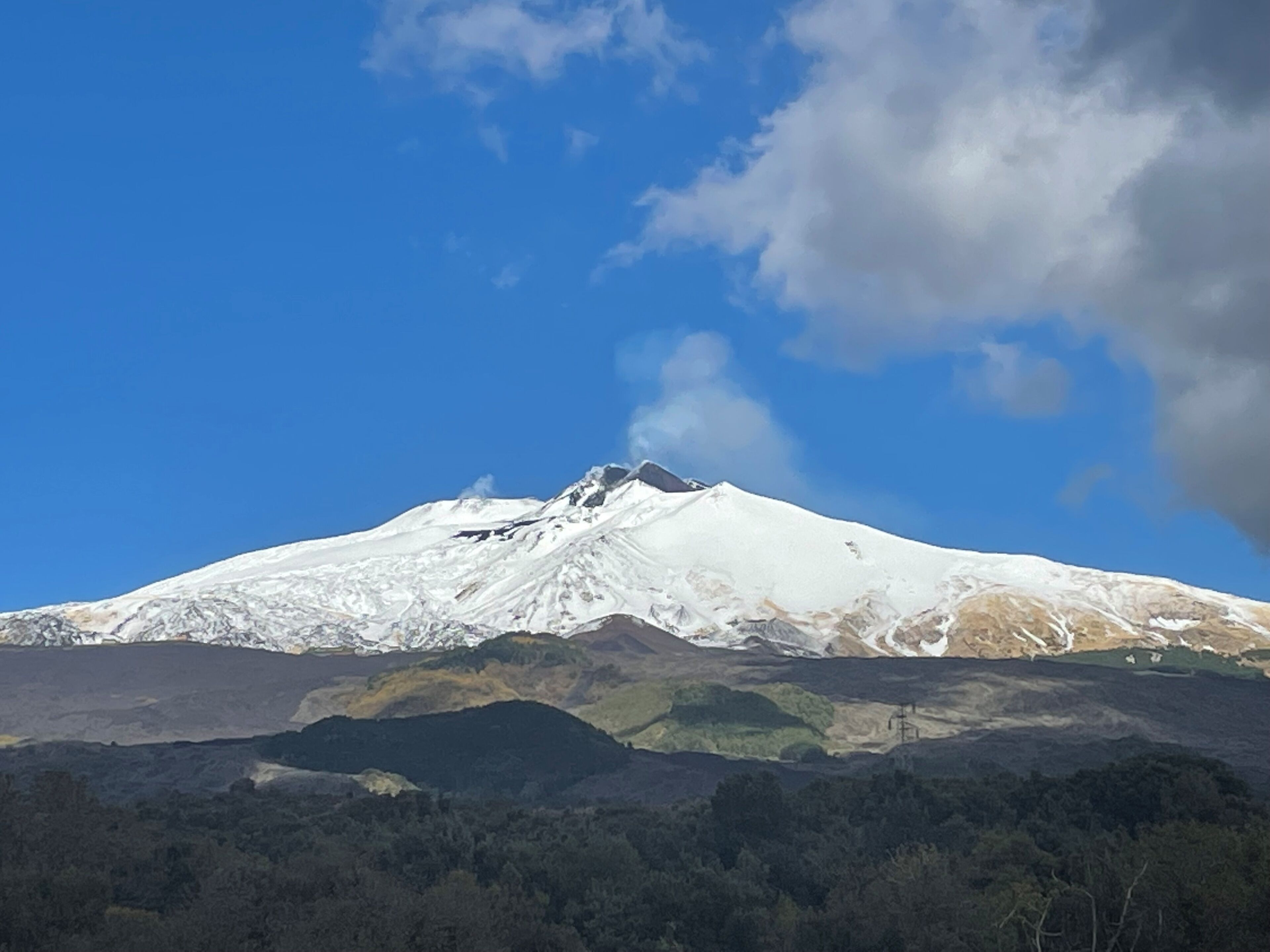A snow-capped mountain with a clear sky and a forested valley below.