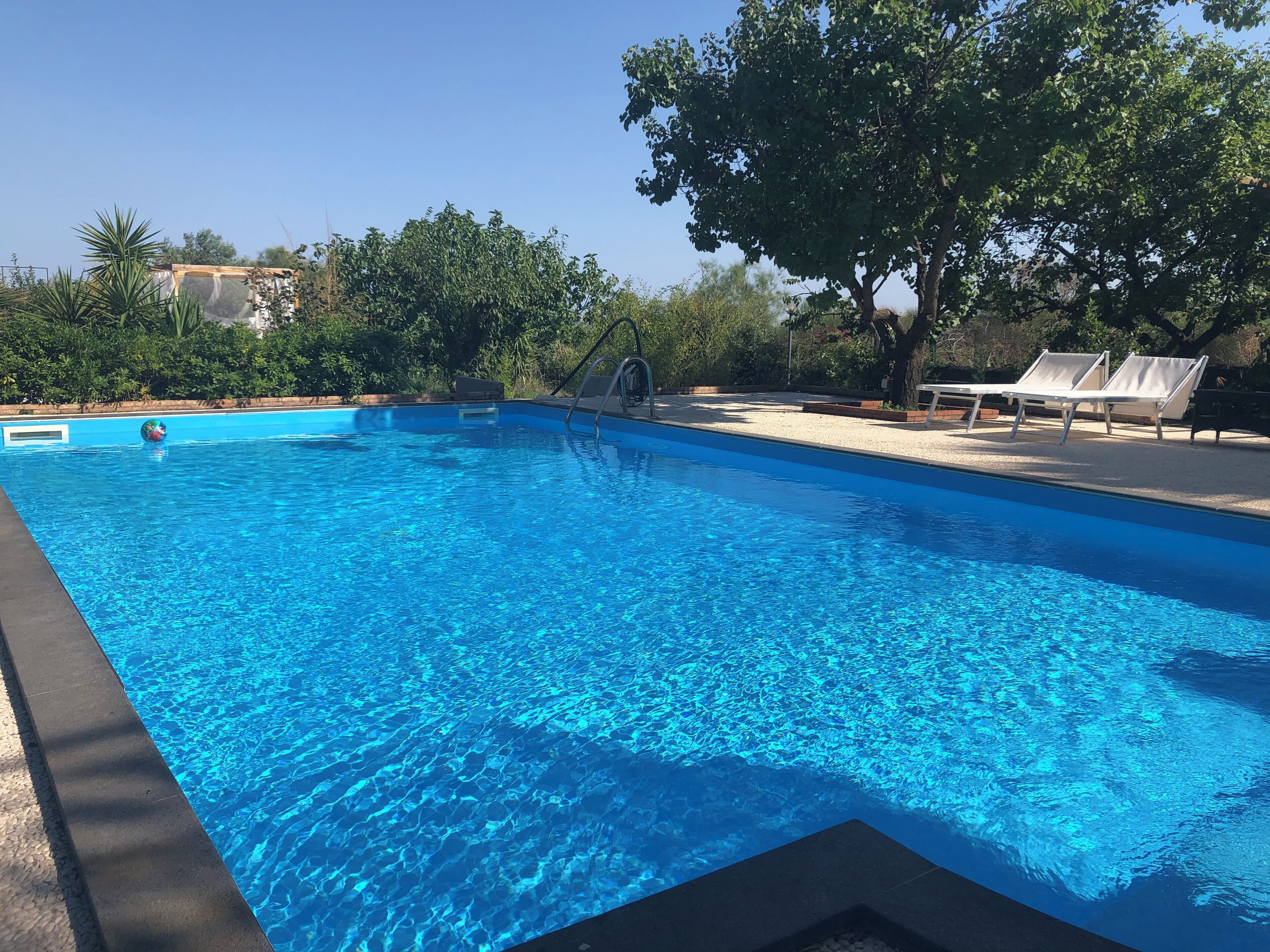 Ein klares, blaues Schwimmbecken mit einer Leiter, umgeben von Bäumen und Liegestühlen.