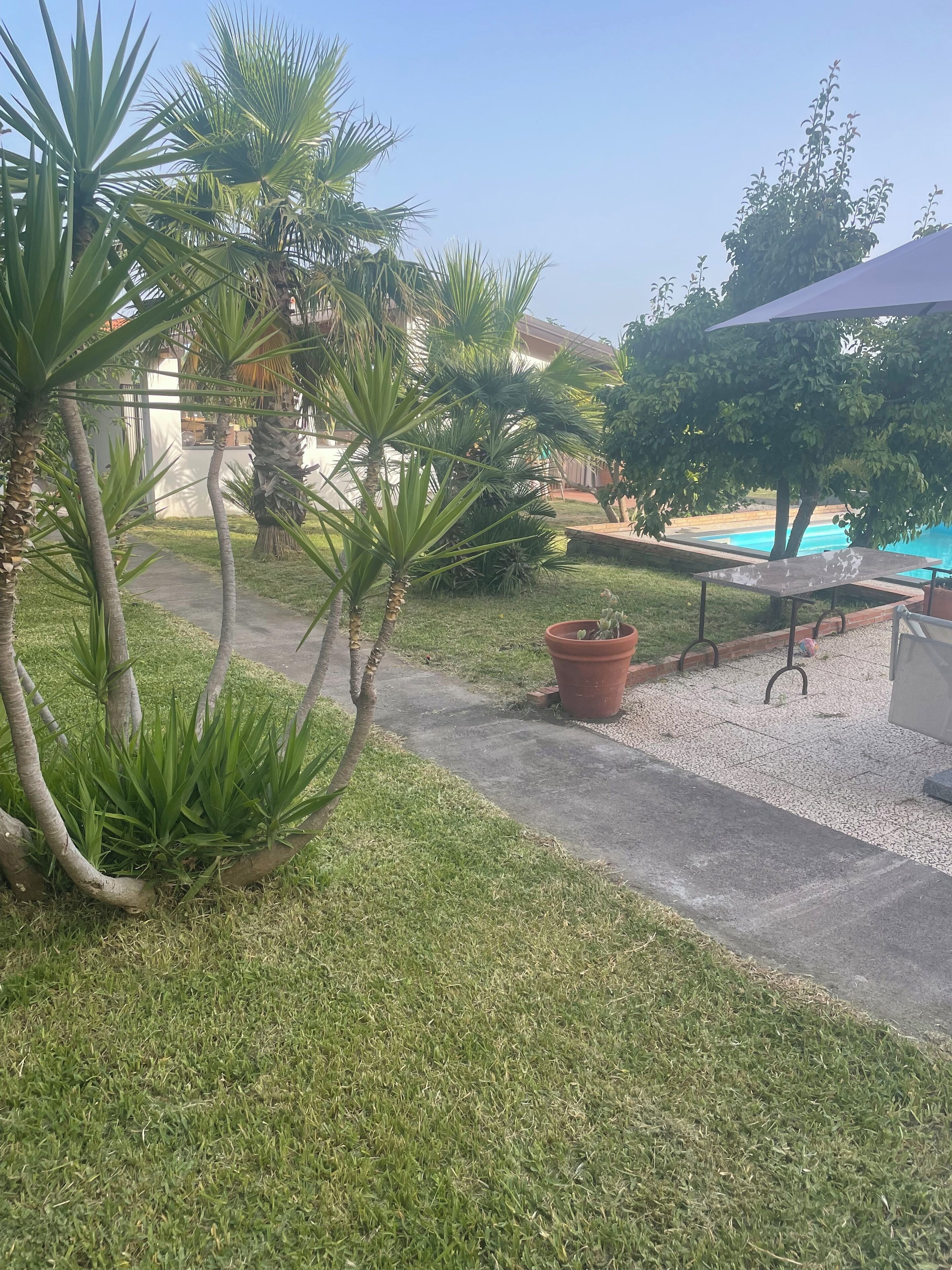Área externa bem cuidada com piscina, palmeiras e um alpendre com mesa e cadeiras.