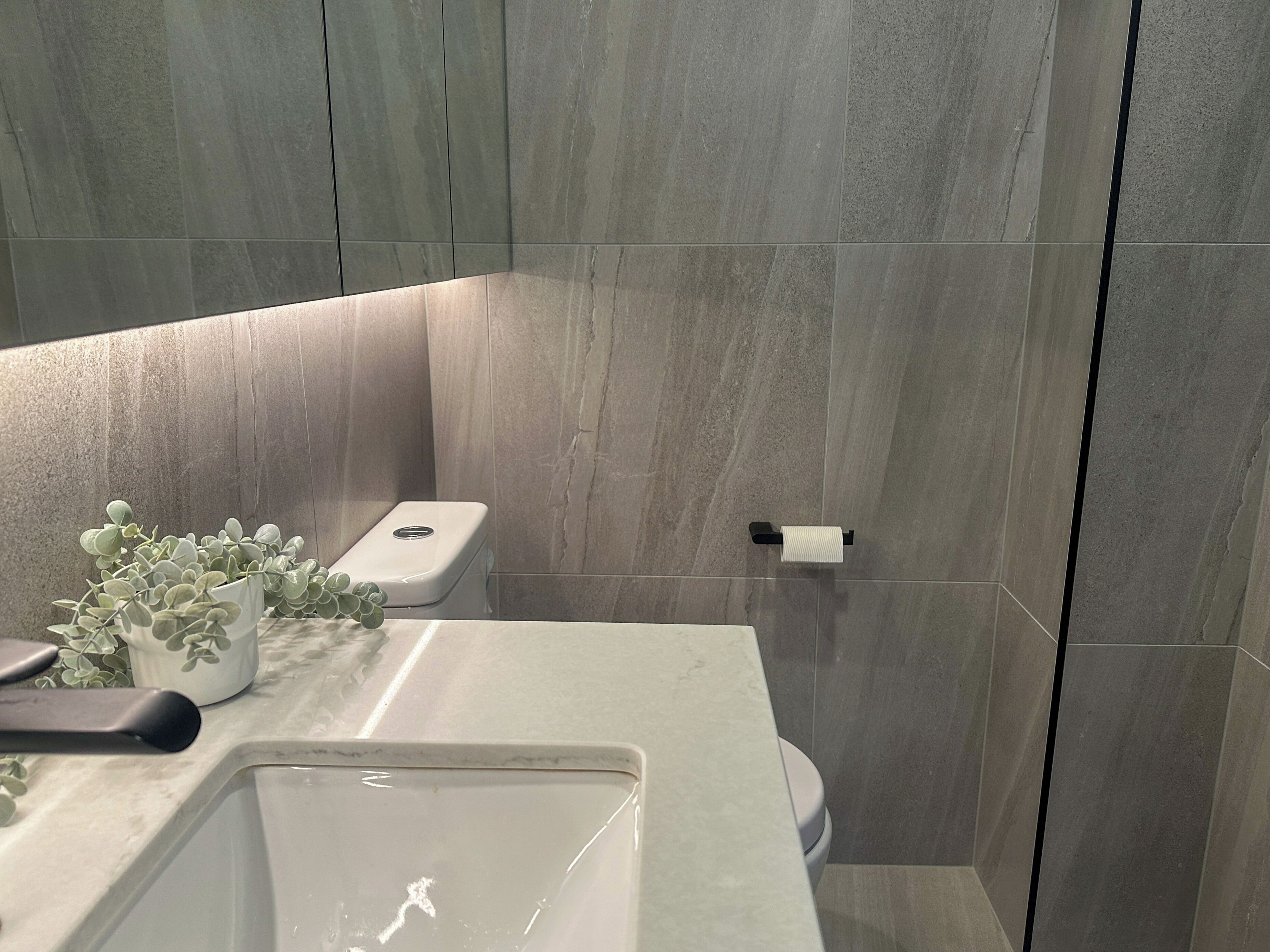 A bathroom with a white sink, a toilet, and a small plant on the counter.