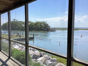 Interior - Channel View -  Dynamic 3 BR Waterfront -  Close to Town  -  Screened  Porch (Chincoteague)