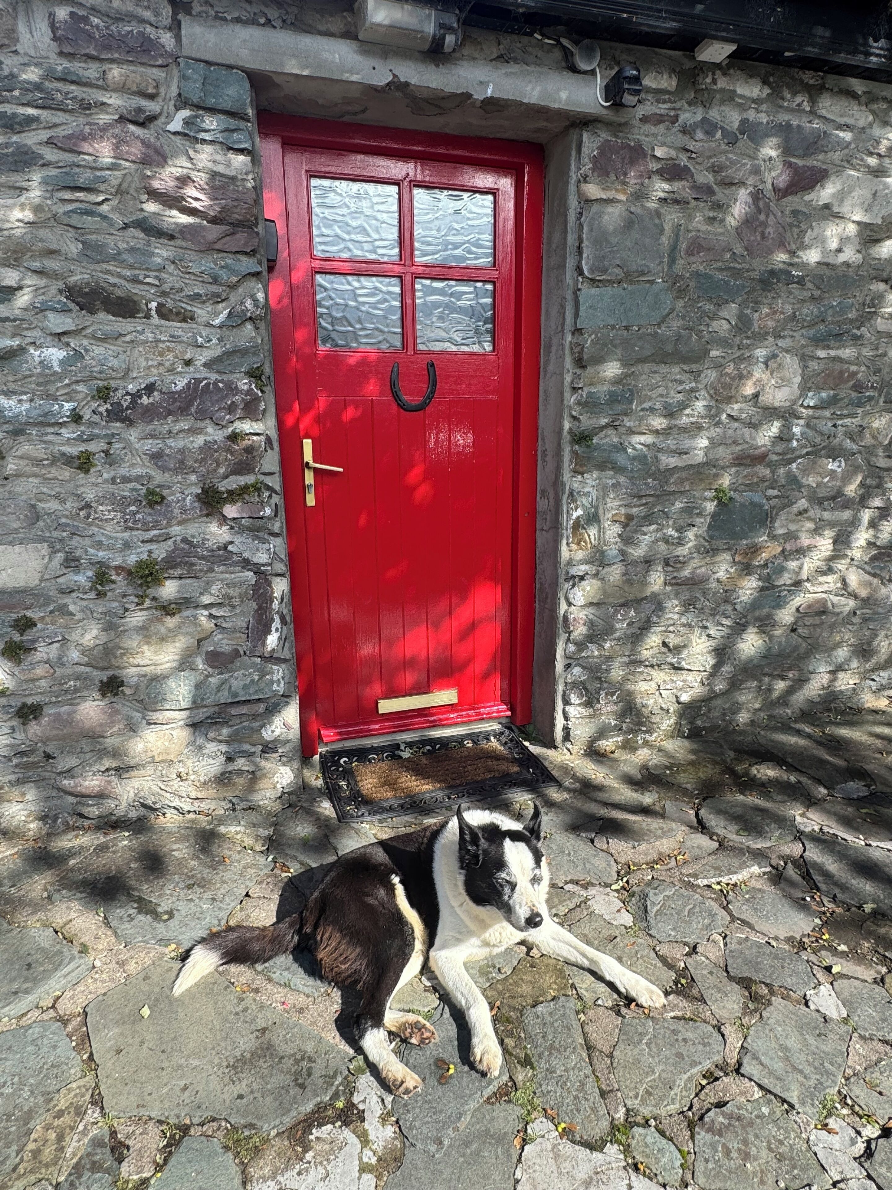 Detalle del exterior