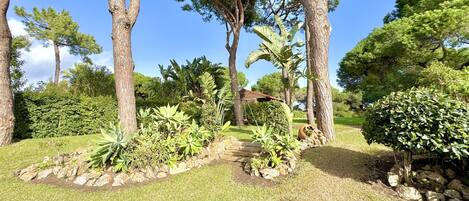 A well-maintained garden with various plants and trees, a stone pathway, and a wooden structure in the background.