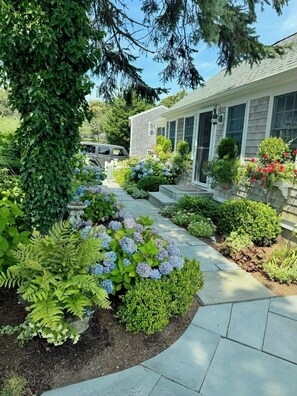 Property grounds - Experience the charm of a beautiful seaside cottage just steps from Ridgevale Beach! (Chatham)
