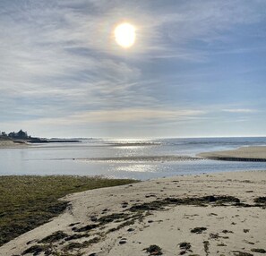 Beach - Experience the charm of a beautiful seaside cottage just steps from Ridgevale Beach! (Chatham)