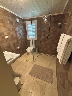 Shower, towels, soap, toilet paper - Bathurst River House B & B Room 2 (Kelso)