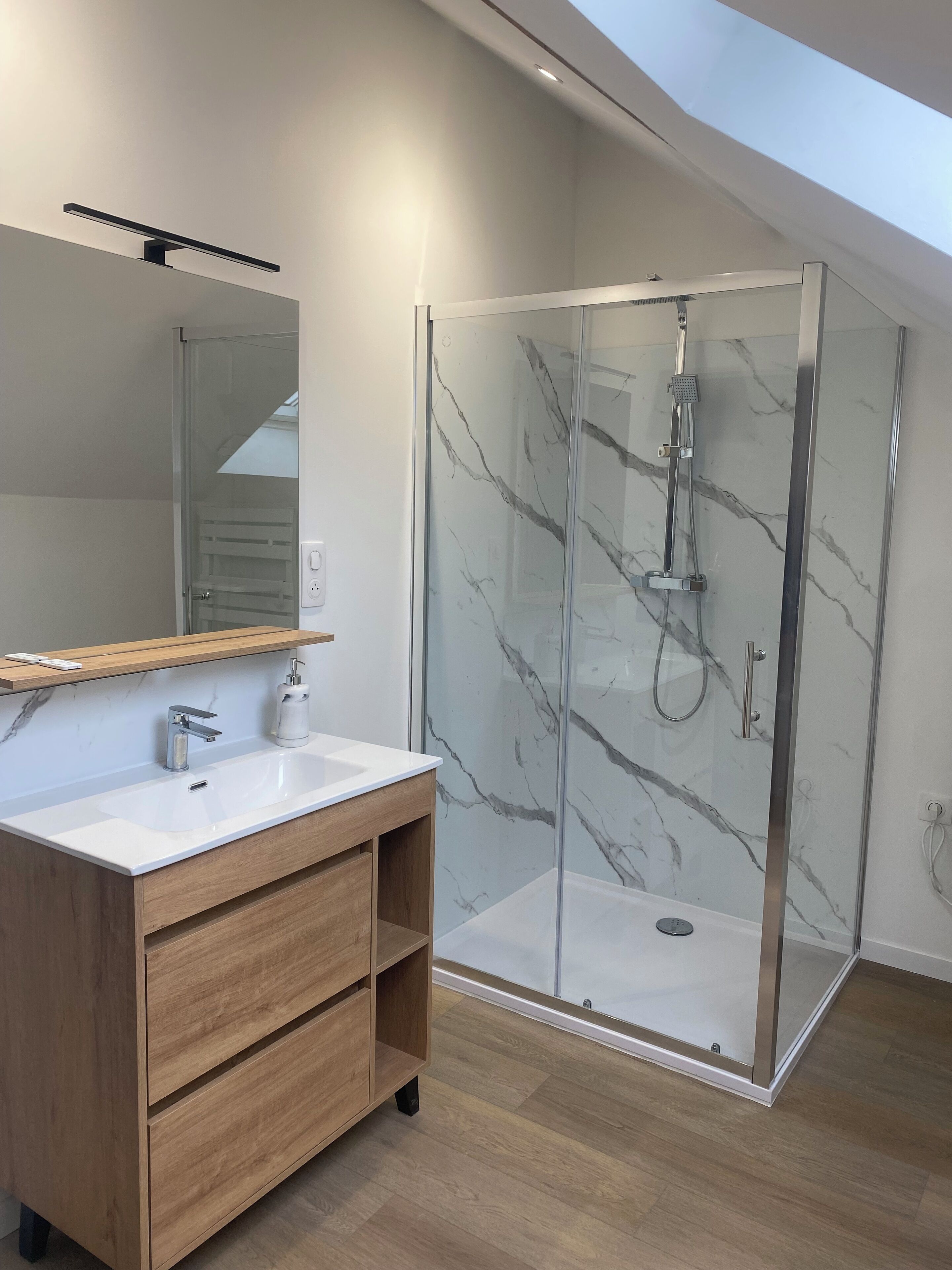 Shower, towels, toilet paper