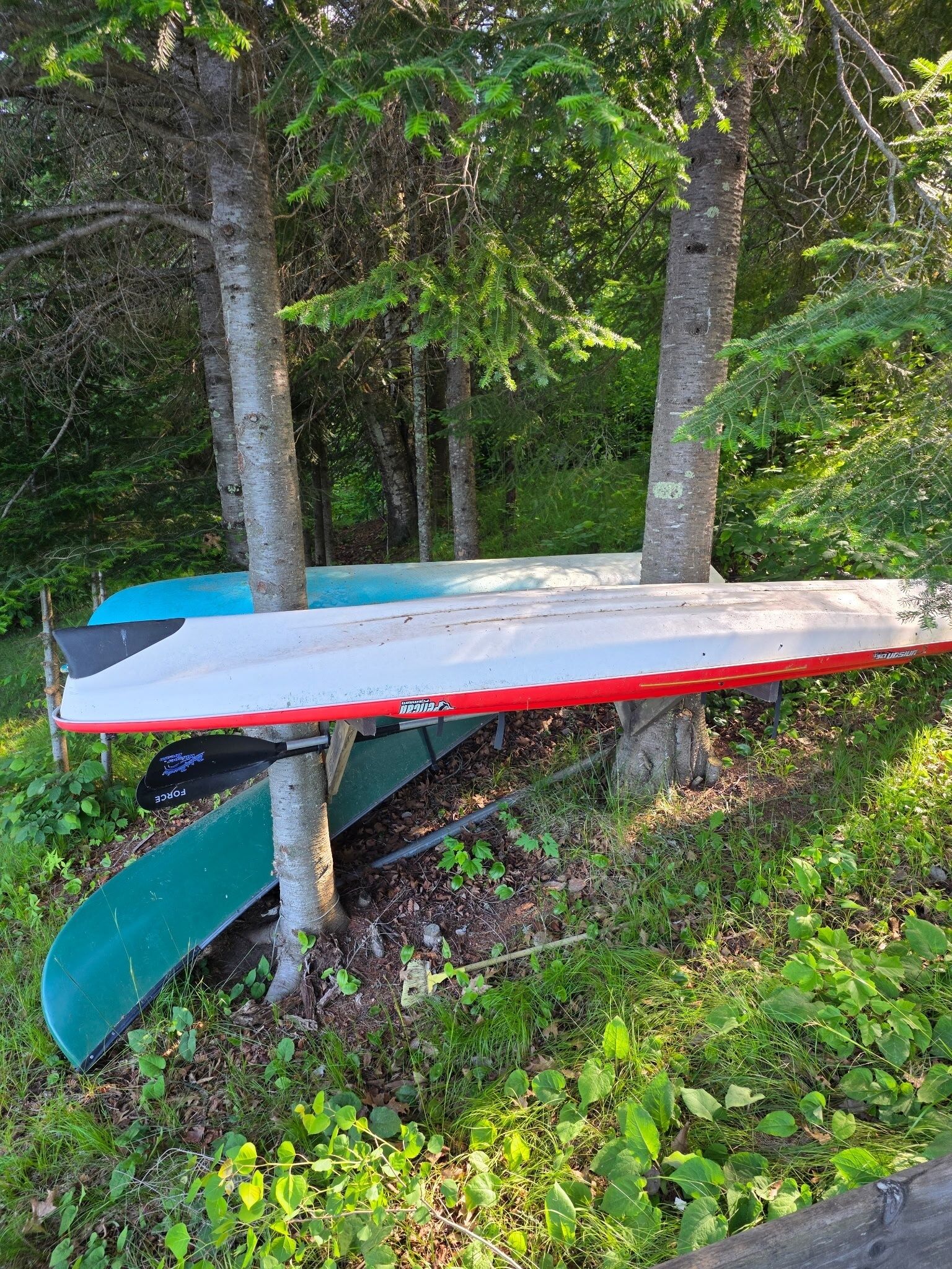 A boat secured under trees in a wooded area.