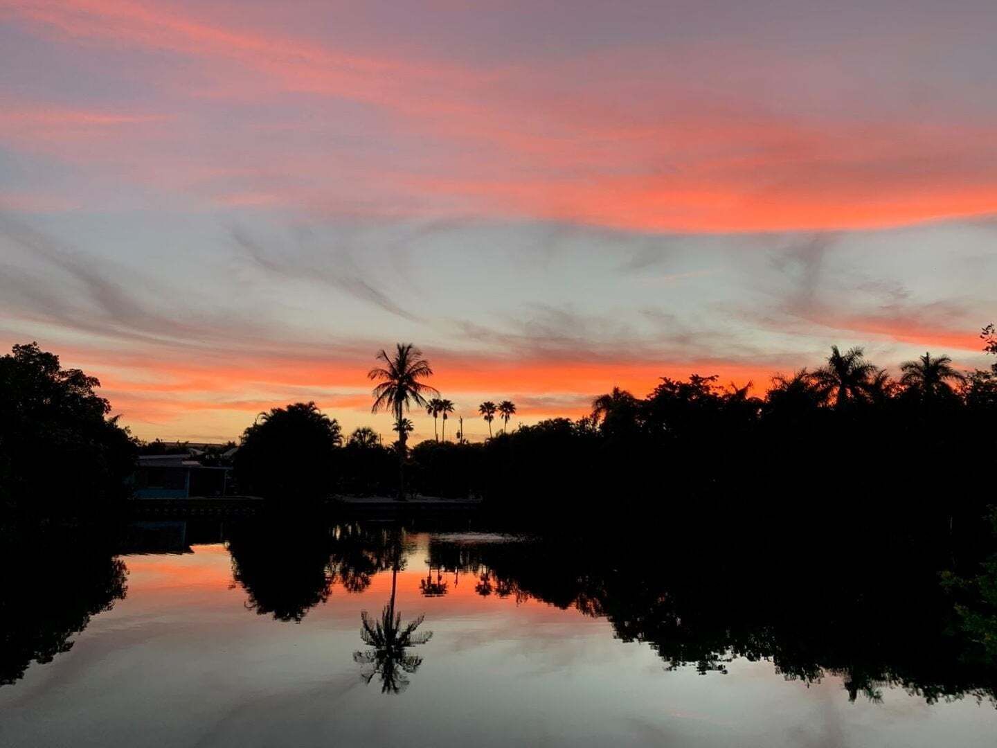 A sunset over a calm body of water with palm trees silhouetted against the sky.