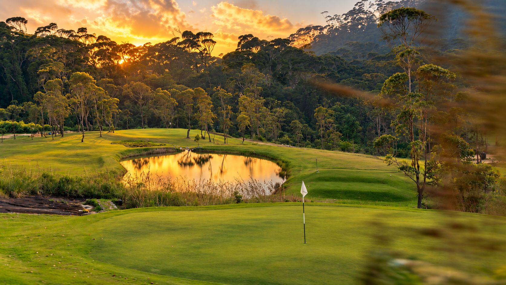 A golf course with a pond, trees, and a flagstick.