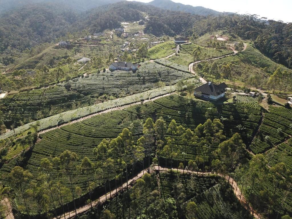 A rural landscape with terraced fields and scattered buildings.