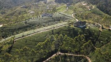 A rural landscape with terraced fields and scattered buildings.