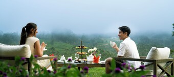 Aadya Tea Bungalow by Aahaasa