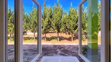 Estúdio standard, vista para a montanha | Individualmente decorados, individualmente mobiliados