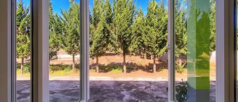 Standard Studio, Mountain View | Individually decorated, individually furnished, laptop workspace