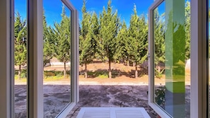 A view through a window with a concrete floor and a metal railing, overlooking a row of trees and a distant building.