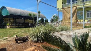 Immagine non classificata, 4 di 42, pulsante