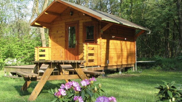 Una cabaña de madera con porche y mesa de picnic, rodeada de follaje.