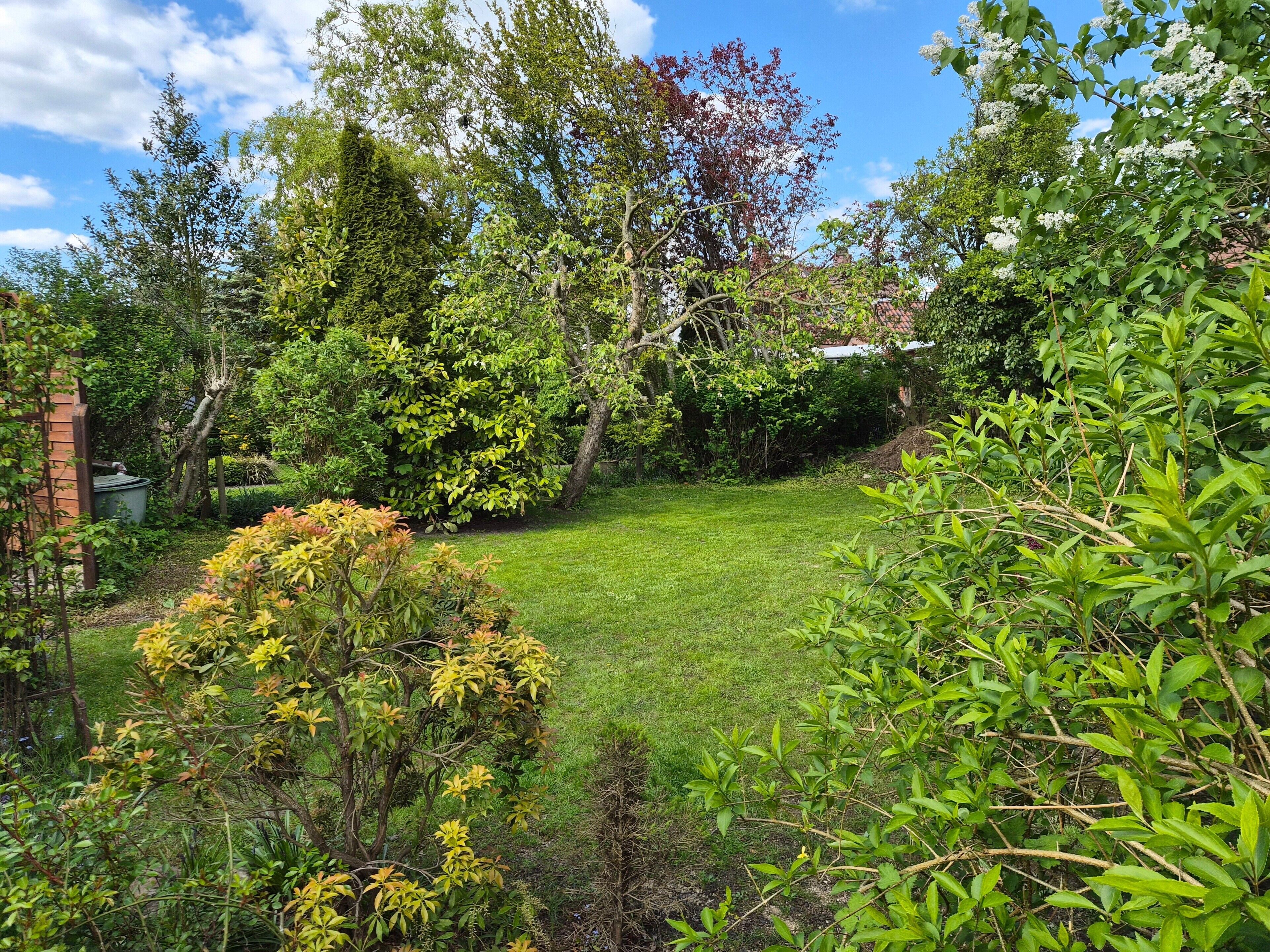 A lush garden with a variety of trees and shrubs, a well-maintained lawn, and a brick structure partially visible.
