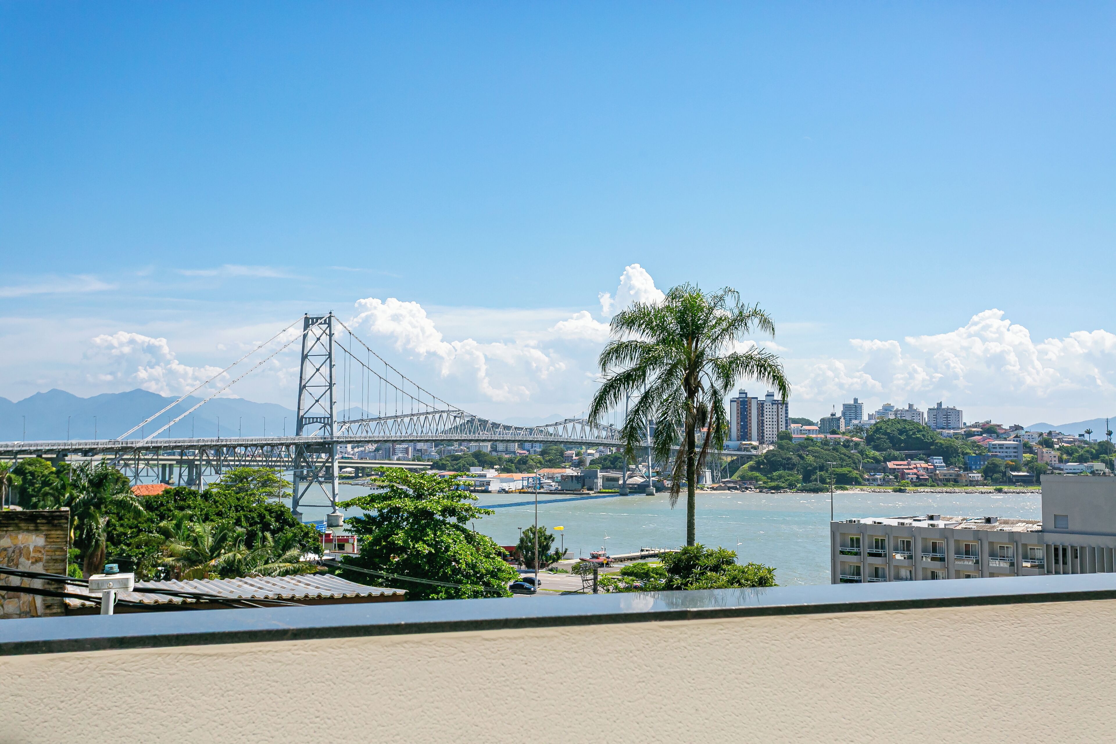 A view of a bridge, palm trees, and a cityscape with buildings and water.
