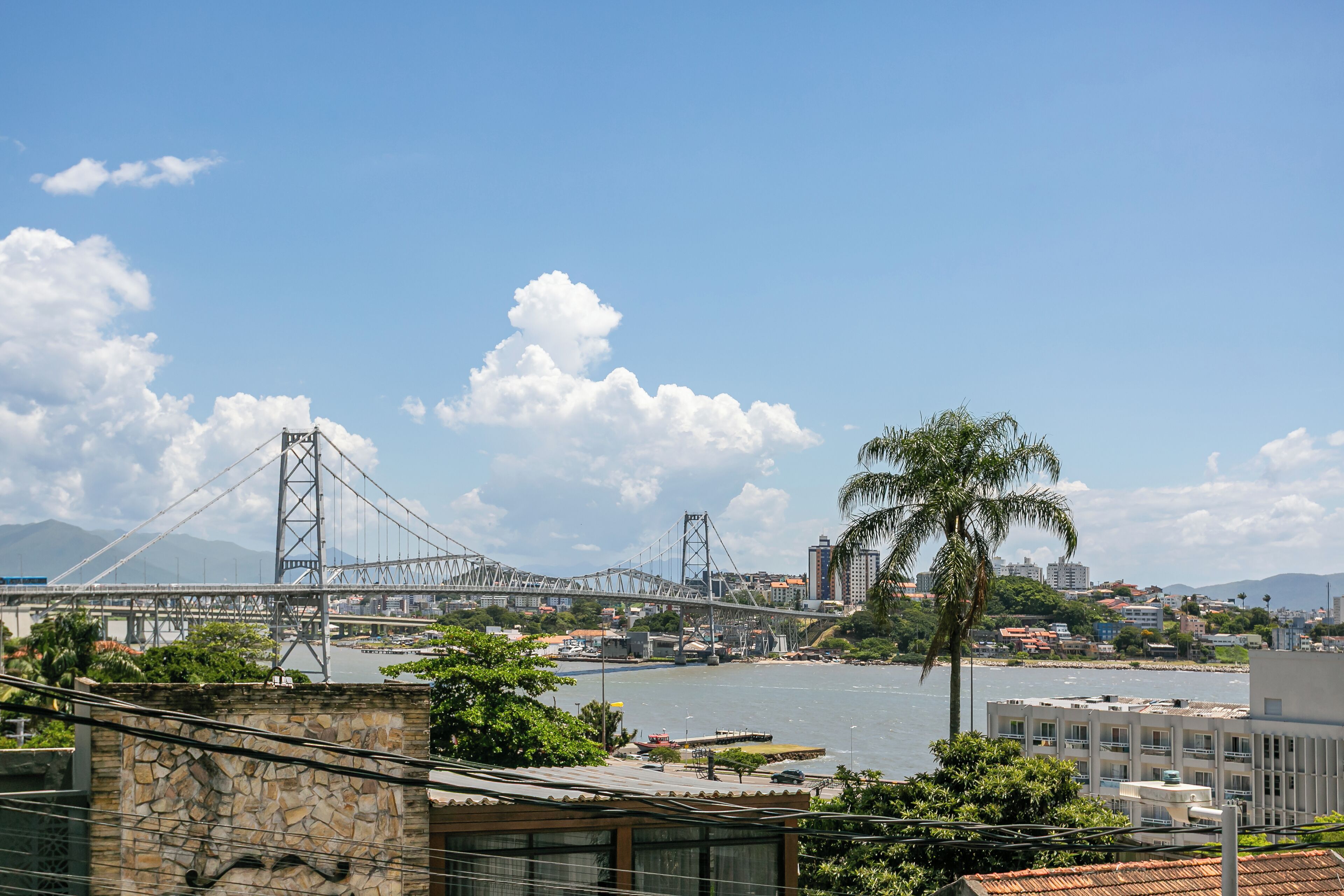 A view of a bridge over a river with buildings and a palm tree in the foreground.