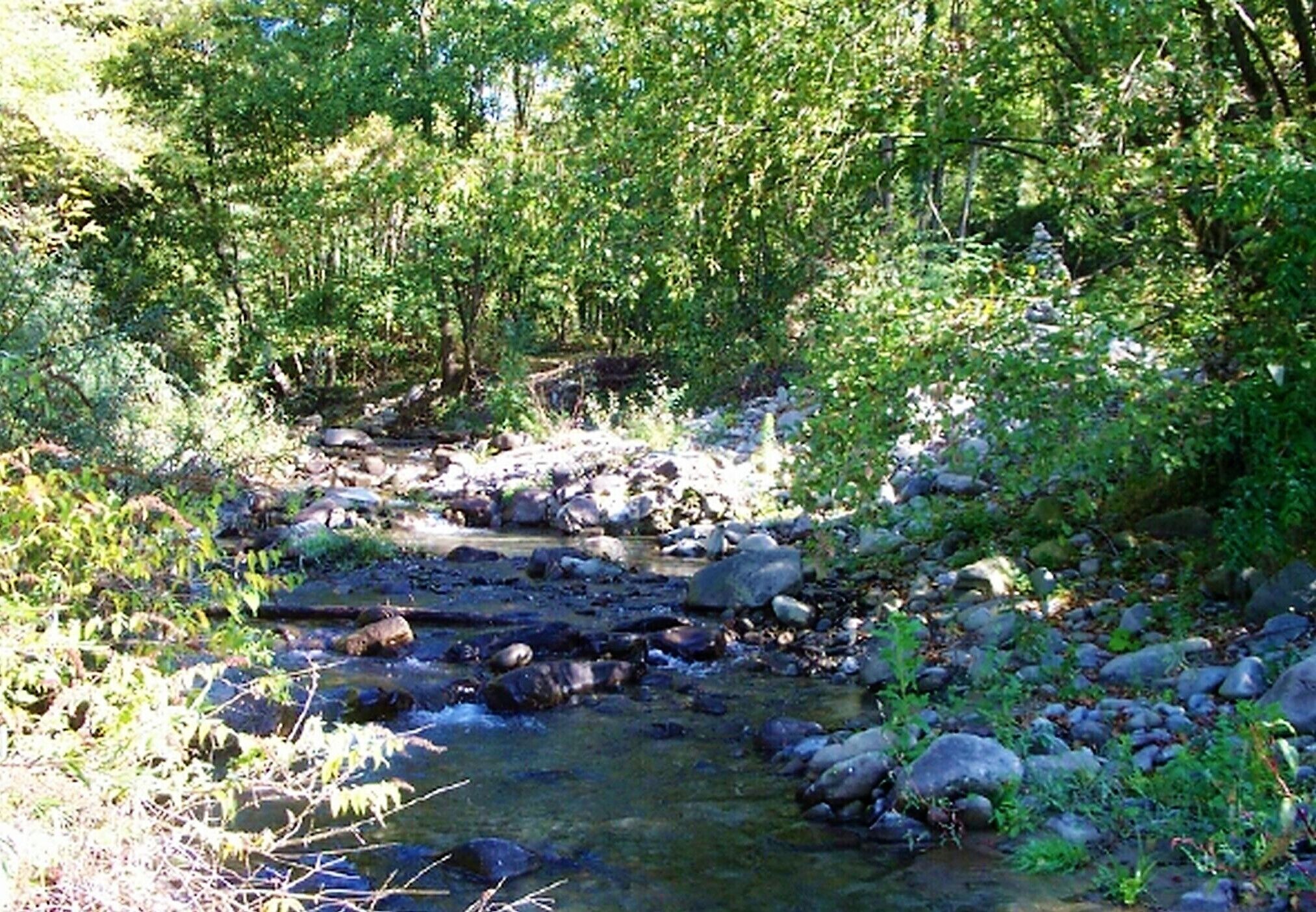 A natural stream surrounded by rocks and greenery.