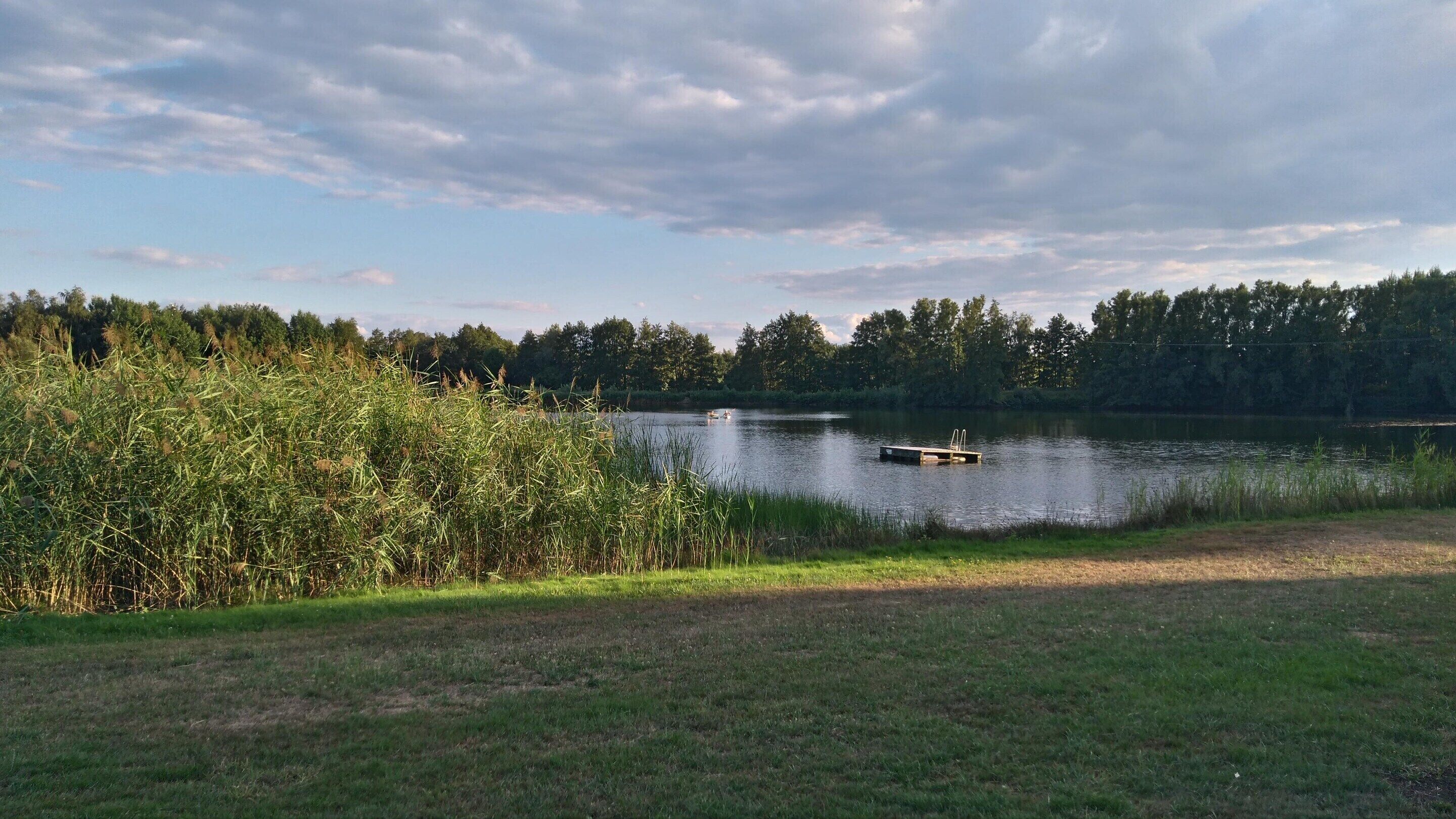 Ein See mit einer Anlegestelle, umgeben von dichter Vegetation und Bäumen.