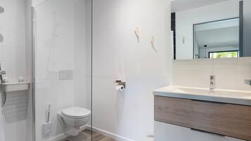 Shower, hair dryer, towels