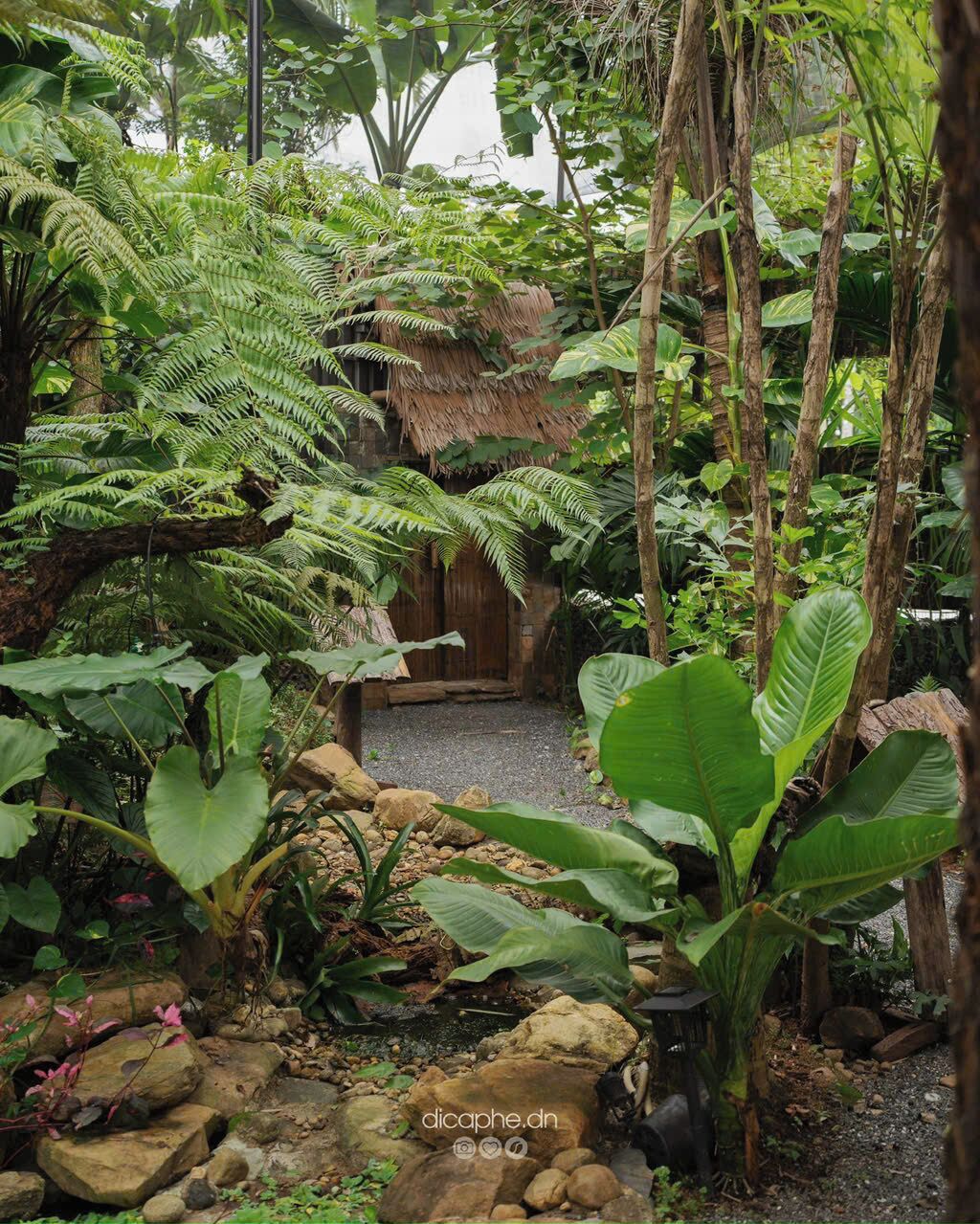 Un exuberante jardín con diversas plantas, una estructura de techo de paja y un pequeño estanque.
