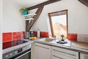 Frigorífico, microondas, horno y placa de cocina