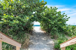 Ein Weg führt zu einem Strand, an einer Seite begleitet von einer Holzbank.