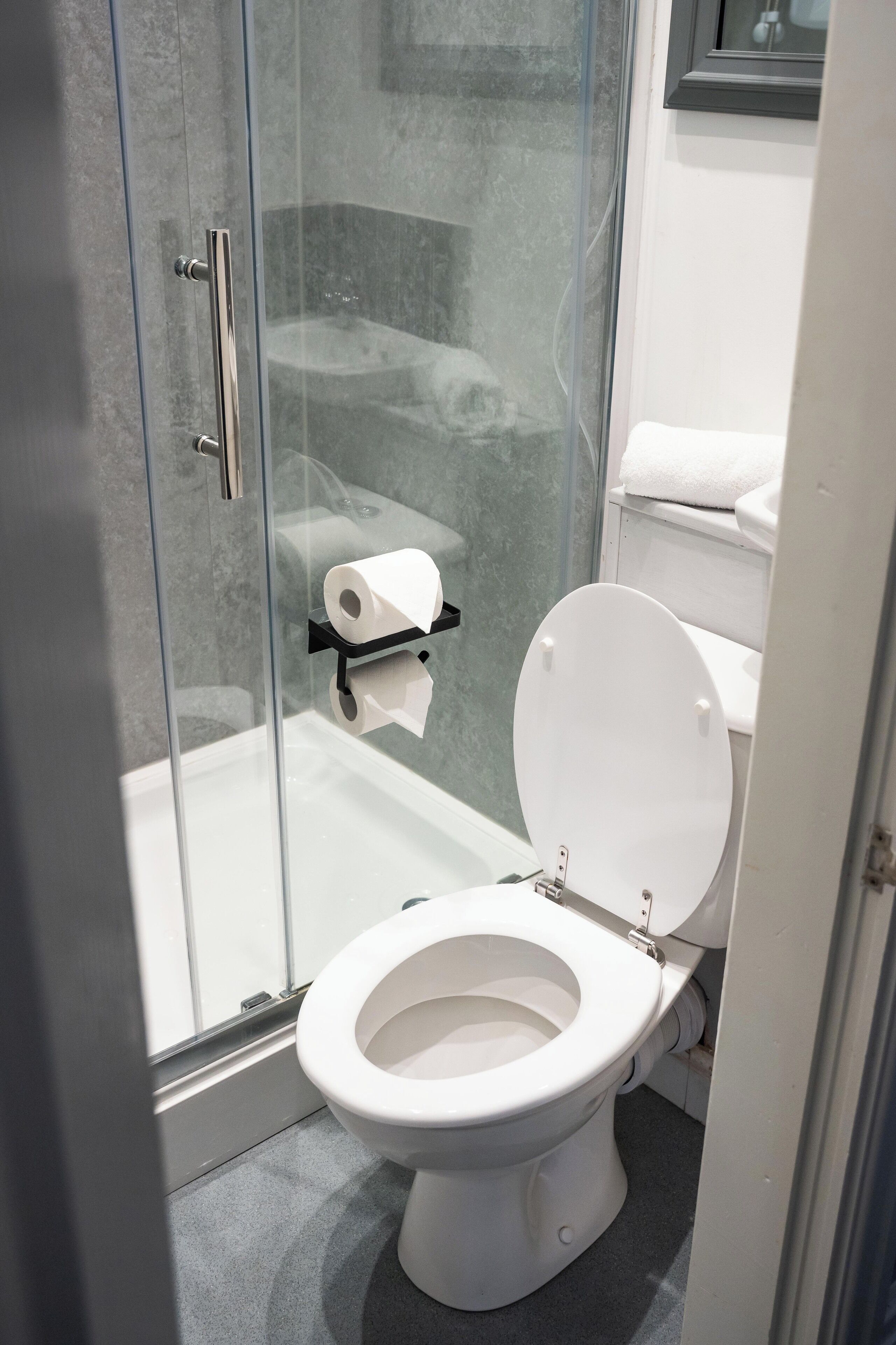 A bathroom with a glass shower enclosure, a white toilet, and a towel rack.