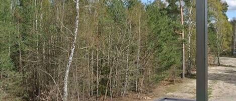 A view of a forested area with a metal fence in the foreground.