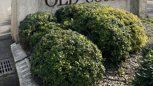 A sign with the text "OLD COURSE" and a coat of arms, surrounded by greenery. - Le Masters Golf and Sea (Mandelieu-la-Napoule)