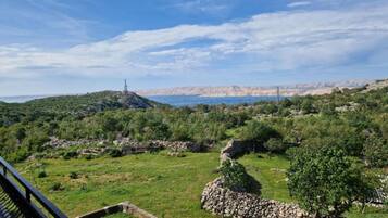 Apartment (Three Bedroom Apartment With Balcony ) | Exterior